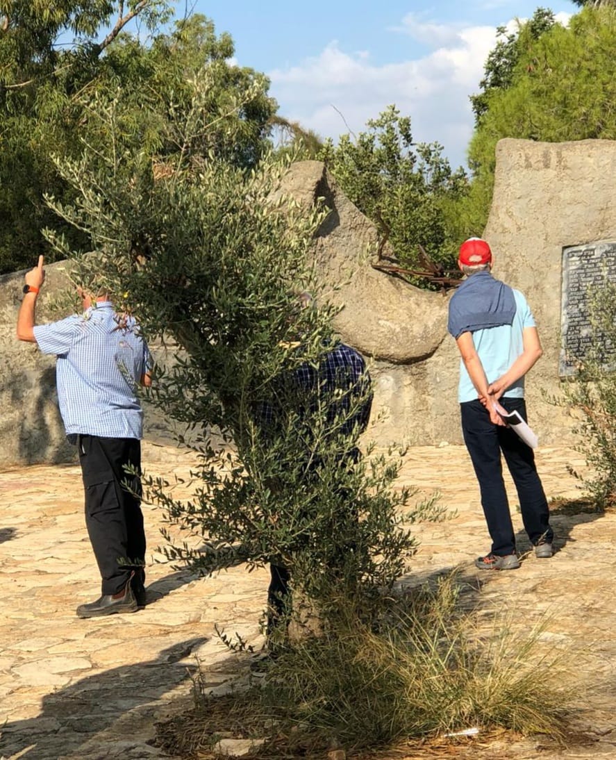עמק יזרעאל